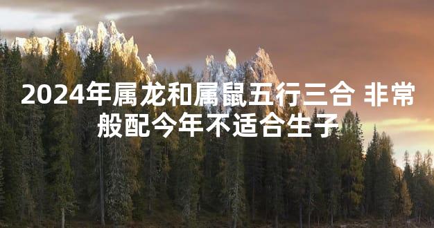 2024年属龙和属鼠五行三合 非常般配今年不适合生子